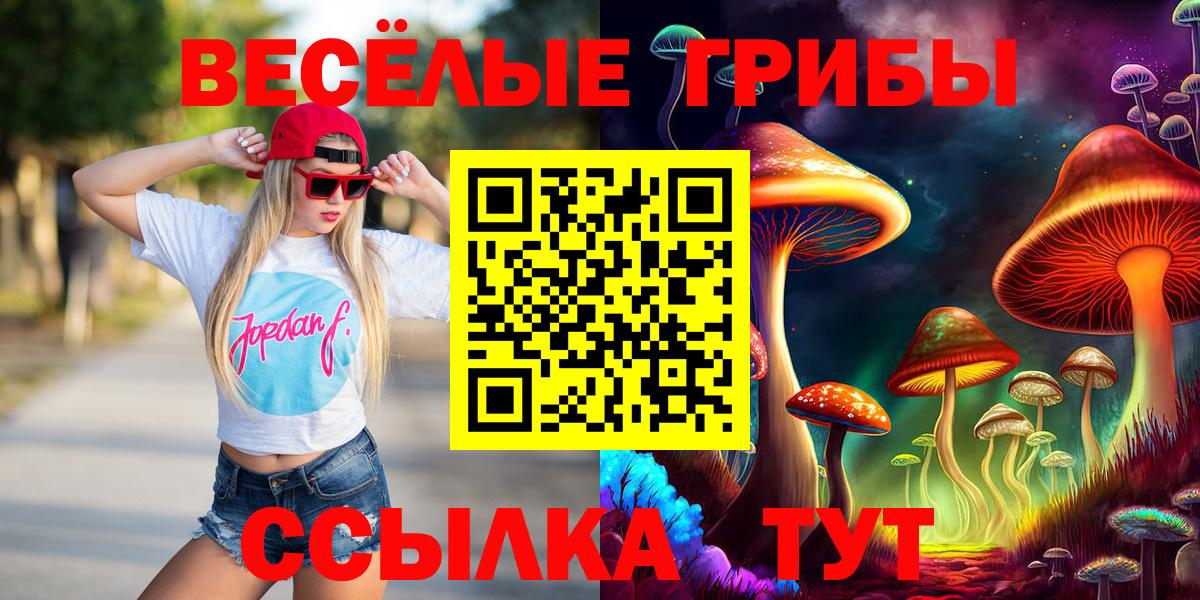 Киселёвск  Галлюциногенные грибы мицелий  Галлюциногенные грибы Magic Shrooms  Вход с VPN 